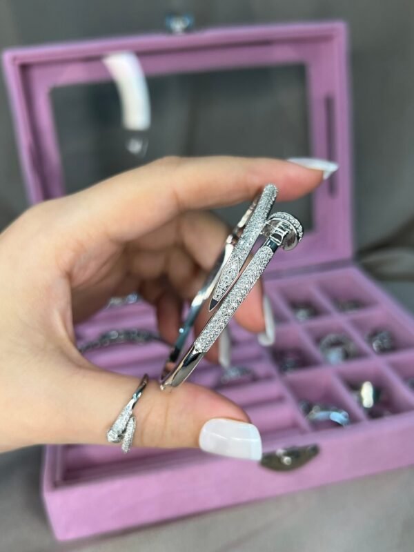 ست کره و انگشتر میخی