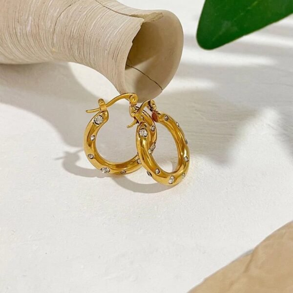 گوشواره حلقه نگینی